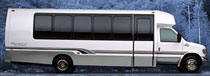 luxury mini bus